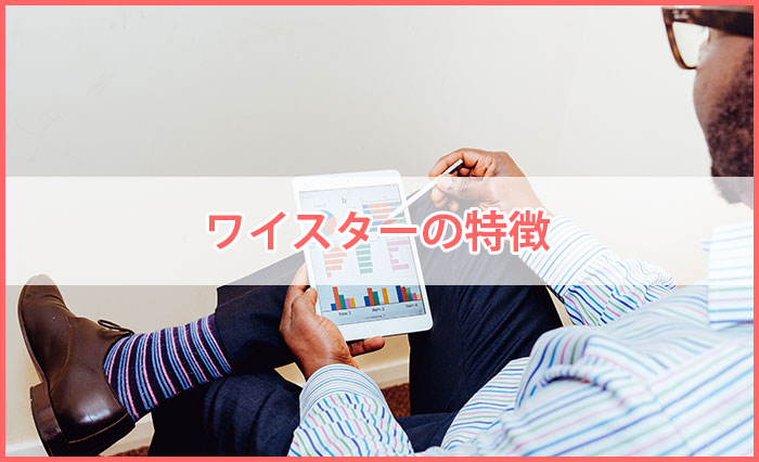 ワイスターの特徴